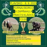 obrázek k akci TURNAJ BORCŮ V ZÁPŘAHU A PRACÍ S KLÁDOU